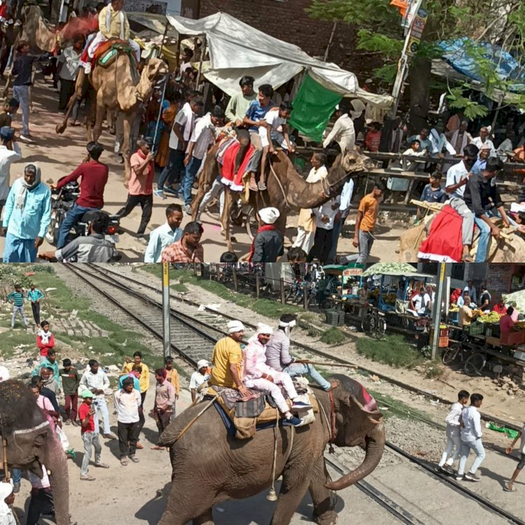 महावीरी झंडा जुलूस धूम धाम से निकाला गया,अबीर गुलाल लगाकर बाजा की धुन पर थिरकते नजर आए लोग