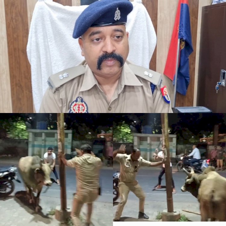 आवारा सांड़ ने मचाया उत्पात,बाल बाल बचा पुलिस कर्मी